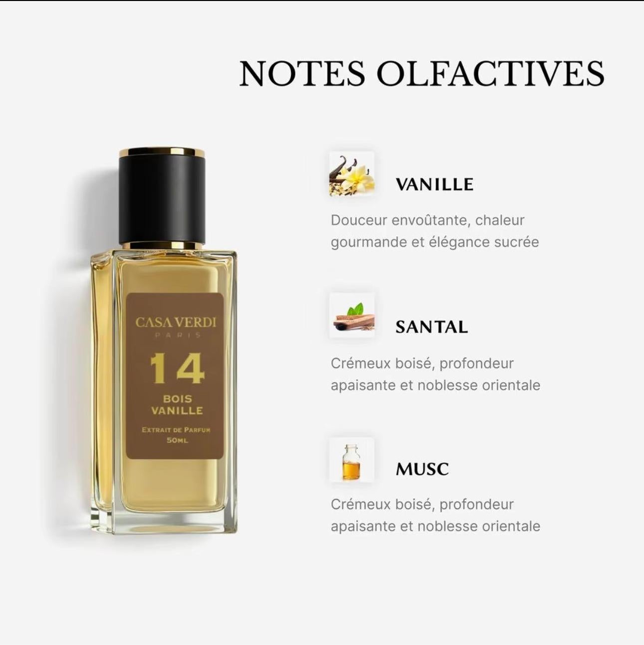 Parfums Casa Verdi