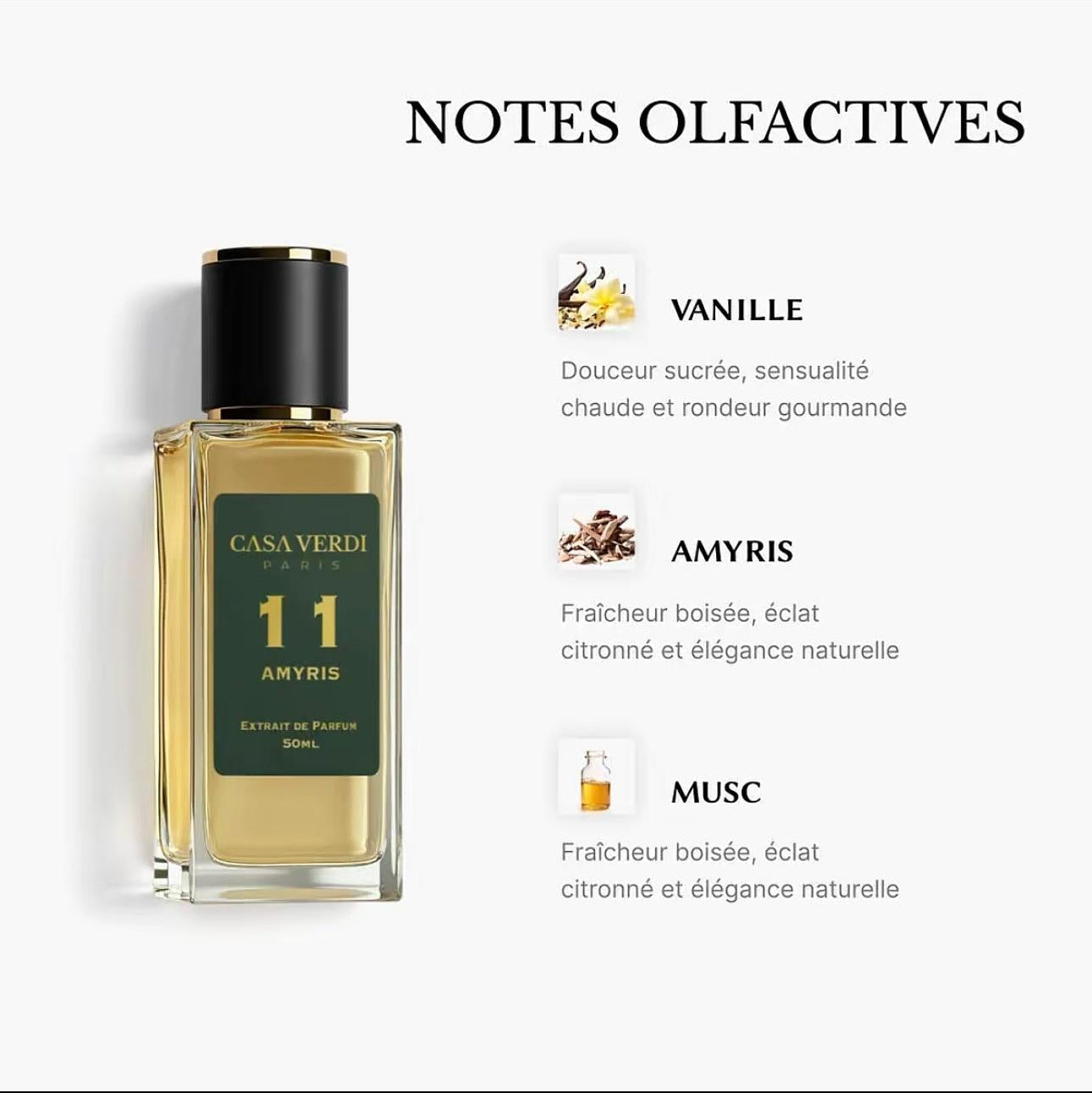 Parfums Casa Verdi