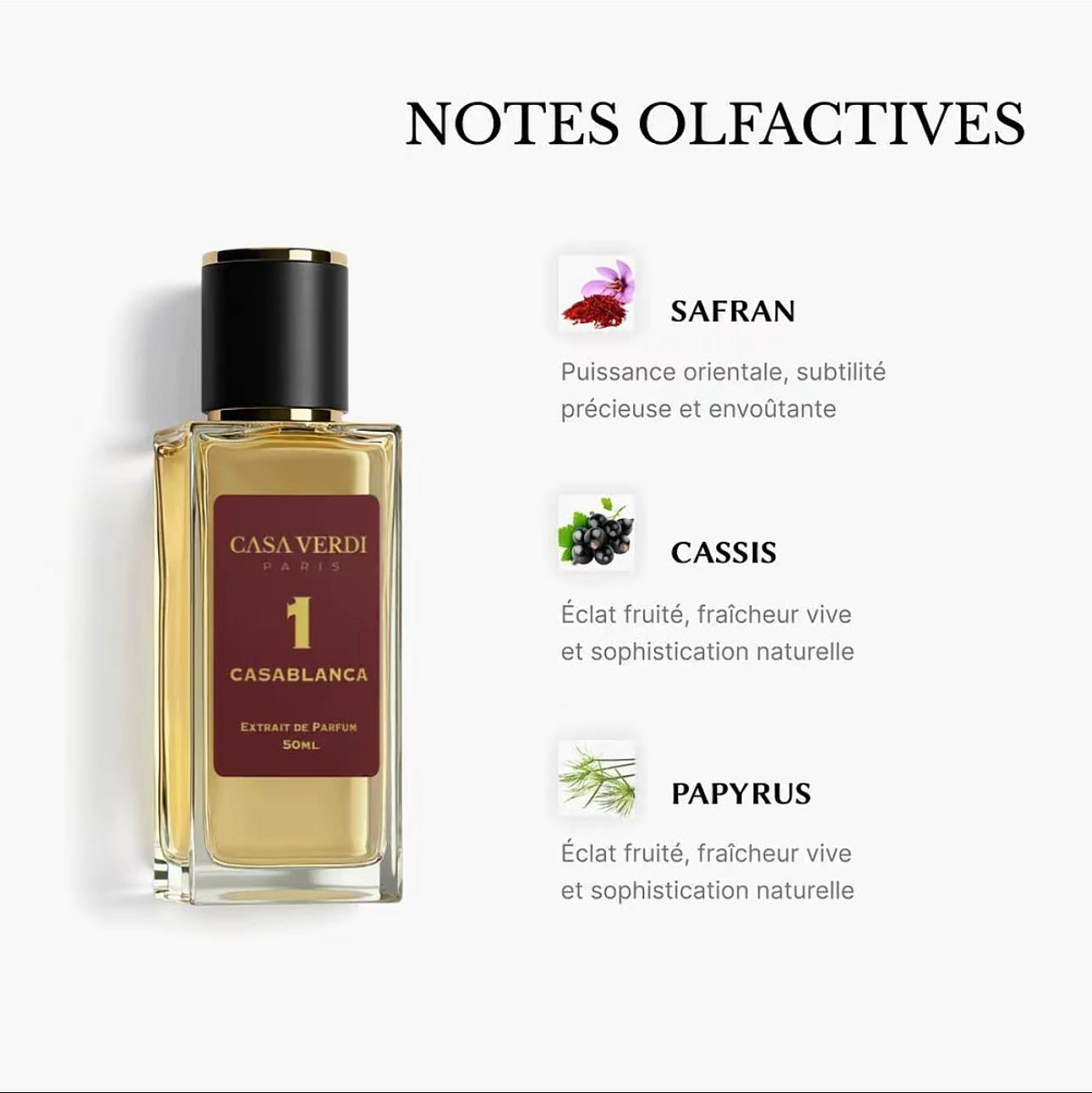 Parfums Casa Verdi